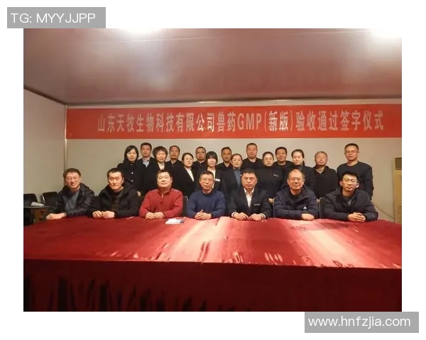 南京排球队的崛起之路联合会杯背后的奋斗与荣耀